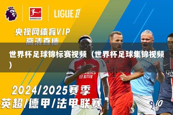 世界杯足球锦标赛视频（世界杯足球集锦视频）