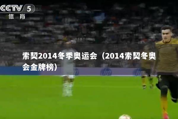 索契2014冬季奥运会（2014索契冬奥会金牌榜）