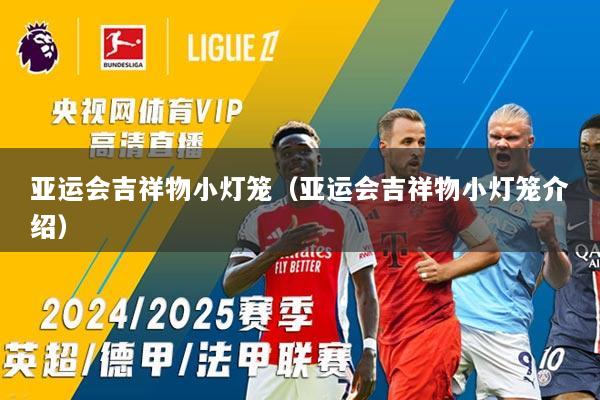 亚运会吉祥物小灯笼（亚运会吉祥物小灯笼介绍）